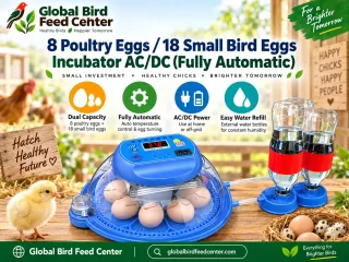 Fully Automatic AC DC Egg Incubator