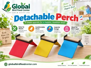 Detachable Bird Perch for Cages