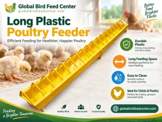 Long Plastic Poultry Feeder
