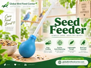 Seed Feeder Hand Feeding Tool for Birds