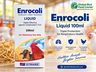 Enrocoli Liquid 100ml veterinary solution for poultry and livestock