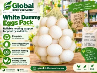 White Dummy Eggs Pack for Poultry and Birds
