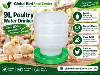 9L Poultry Water Drinker