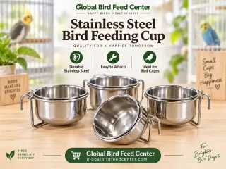 Stainless Steel Bird Feeding Cup