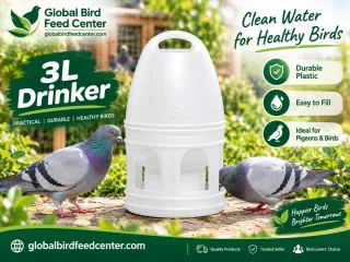 3L Plastic Bird Drinker for pigeons and birds