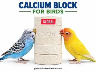 Calcium Block for Birds for Budgies and Parrots
